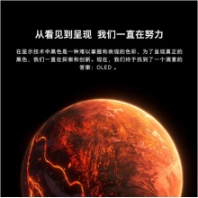创维（SKYWORTH）65G51 65英寸4K高清HDR 2+32G全面屏超薄智慧屏液晶网络电视 黑色