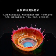 创维（SKYWORTH）65G51 65英寸4K高清HDR 2+32G全面屏超薄智慧屏液晶网络电视 黑色