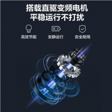 小天鹅（LittleSwan）洗衣机波轮全自动一级直驱变频静音节能10公斤