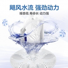 海尔（Haier）9公斤半自动洗衣机双缸双桶大容量家用老式强力去污节能单洗单甩干 9公斤 XPB90-1127HS