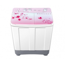 海尔（Haier） 洗衣机9公斤大容量家用半自动洗衣机双缸双桶 强劲动力老式 精美上盖 超长预约 9公斤 精美上盖XPB90-1169JS